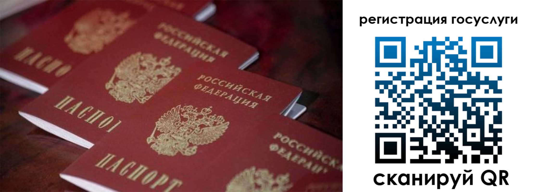 где прописаться в Амурской области